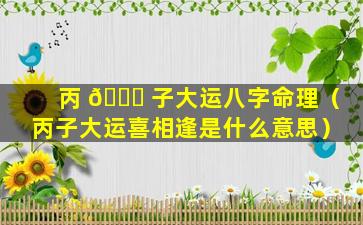 丙 🐒 子大运八字命理（丙子大运喜相逢是什么意思）